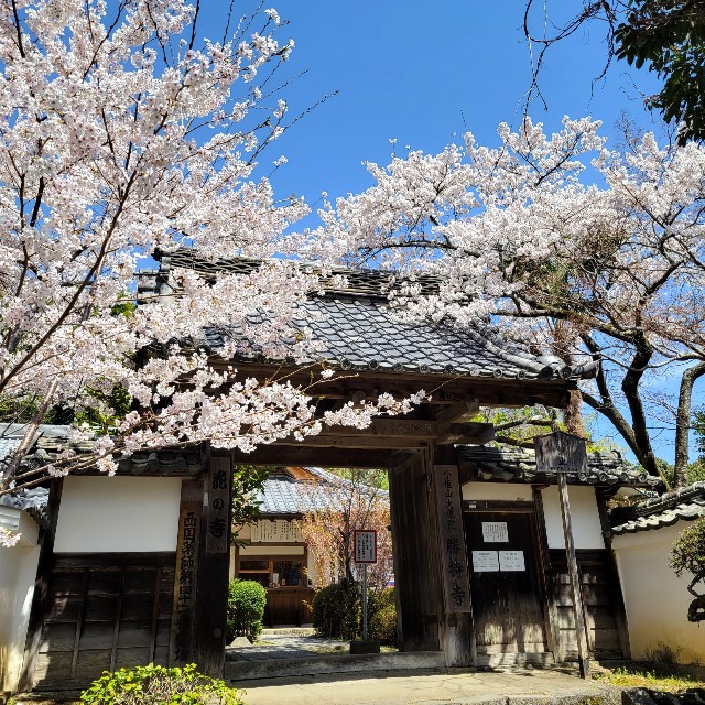 f:id:atoriatoriatori:20220410165631j:image f:id:atoriatoriatori:20220410165631j:image