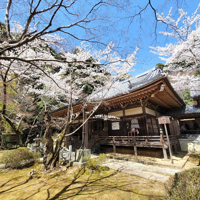 f:id:atoriatoriatori:20220410172734j:image f:id:atoriatoriatori:20220410172734j:image