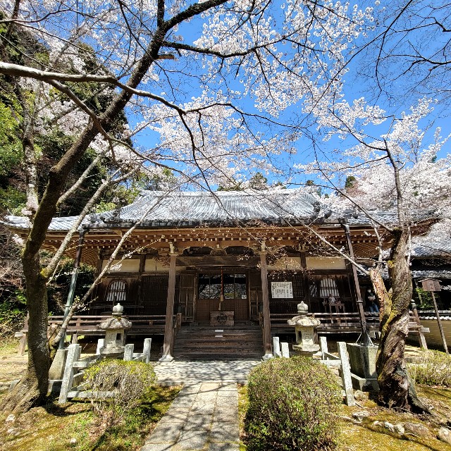 f:id:atoriatoriatori:20220410172742j:image f:id:atoriatoriatori:20220410172742j:image