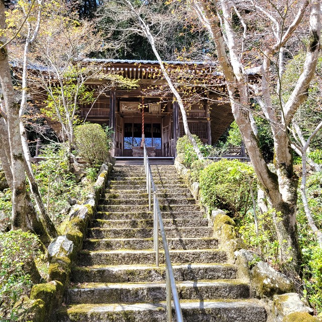 f:id:atoriatoriatori:20220410174427j:image f:id:atoriatoriatori:20220410174427j:image