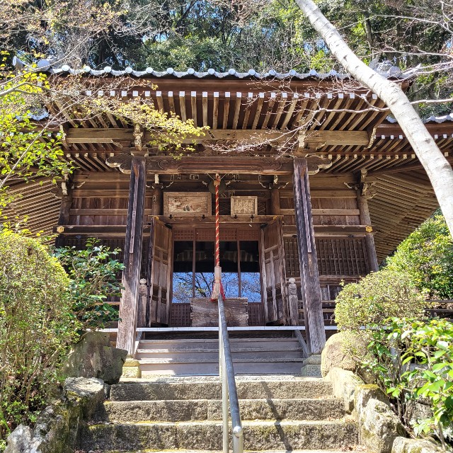 f:id:atoriatoriatori:20220410174454j:image f:id:atoriatoriatori:20220410174454j:image