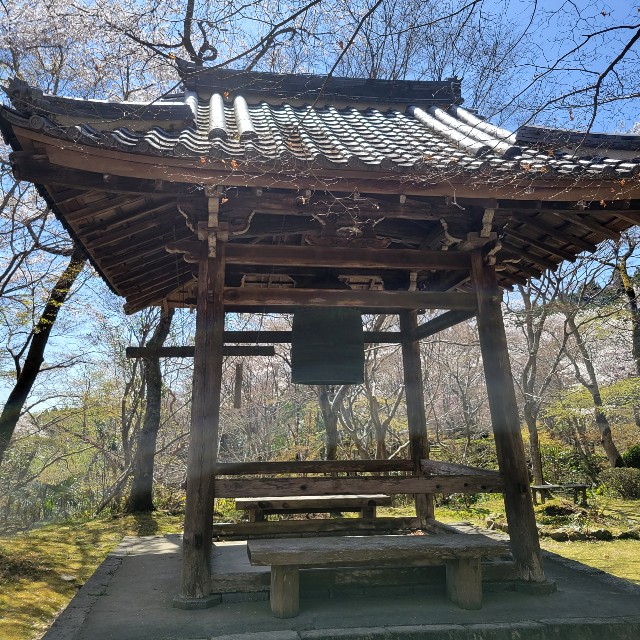 f:id:atoriatoriatori:20220410175719j:image f:id:atoriatoriatori:20220410175719j:image