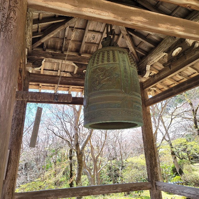 f:id:atoriatoriatori:20220410175726j:image f:id:atoriatoriatori:20220410175726j:image