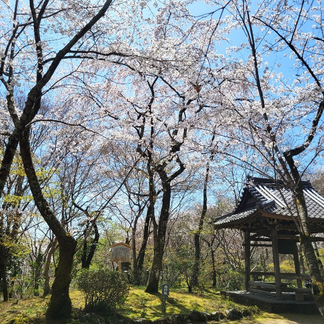 f:id:atoriatoriatori:20220410180258j:image f:id:atoriatoriatori:20220410180258j:image