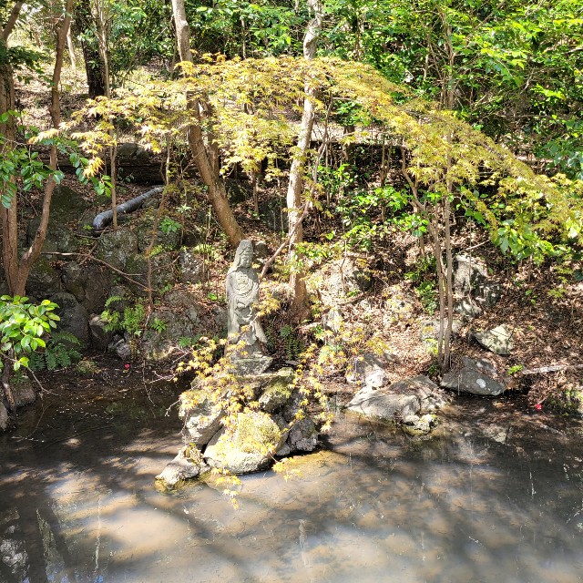 f:id:atoriatoriatori:20220410181806j:image f:id:atoriatoriatori:20220410181806j:image