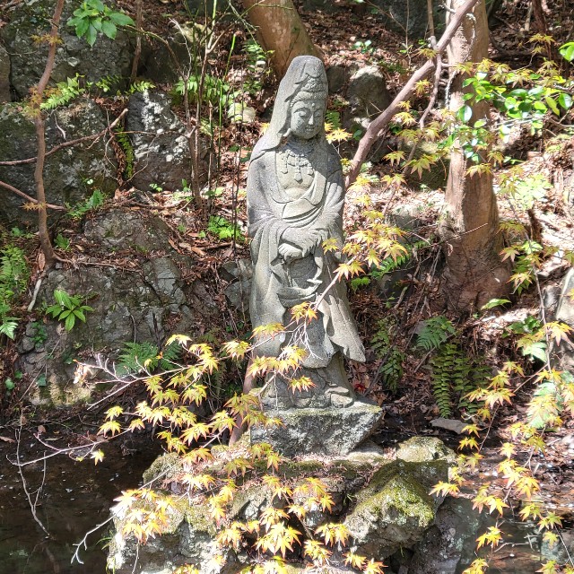 f:id:atoriatoriatori:20220410181812j:image f:id:atoriatoriatori:20220410181812j:image