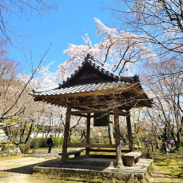 f:id:atoriatoriatori:20220410202633j:image f:id:atoriatoriatori:20220410202633j:image