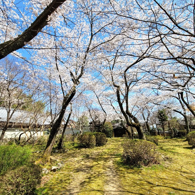 f:id:atoriatoriatori:20220410202907j:image f:id:atoriatoriatori:20220410202907j:image