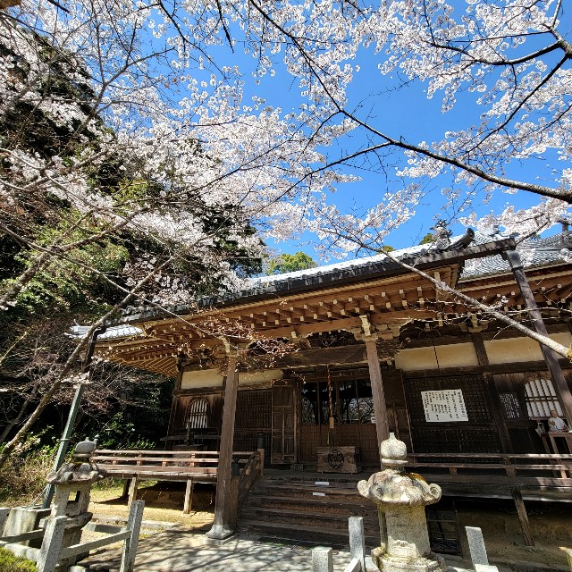 f:id:atoriatoriatori:20220410202941j:image f:id:atoriatoriatori:20220410202941j:image