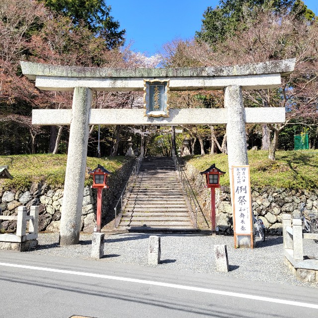 f:id:atoriatoriatori:20220411181455j:image