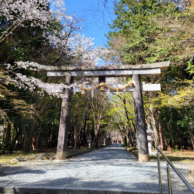 f:id:atoriatoriatori:20220411181510j:image