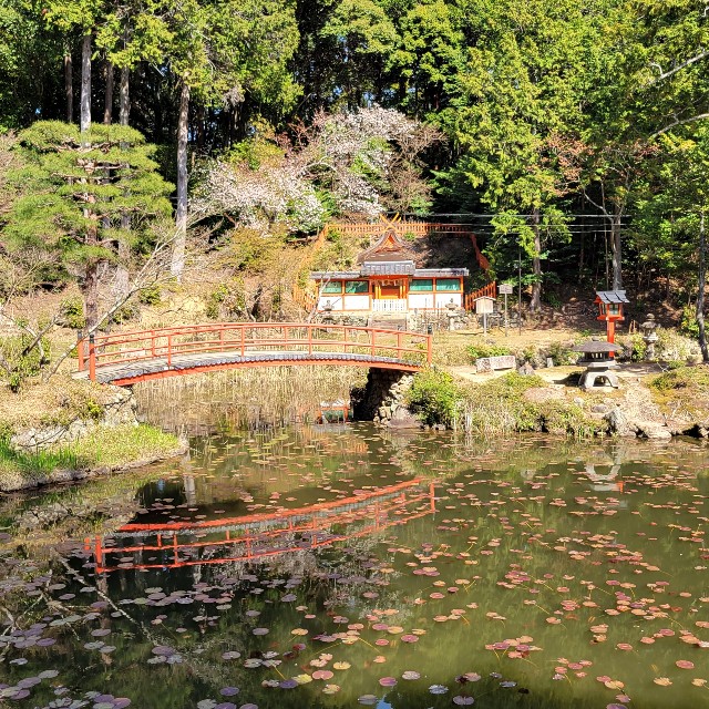 f:id:atoriatoriatori:20220411183232j:image