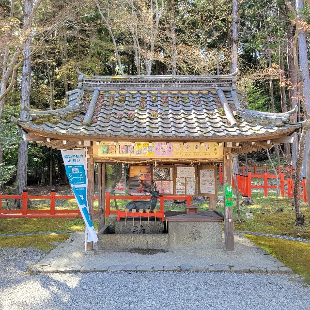 f:id:atoriatoriatori:20220411211753j:image