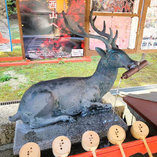 f:id:atoriatoriatori:20220411211820j:image