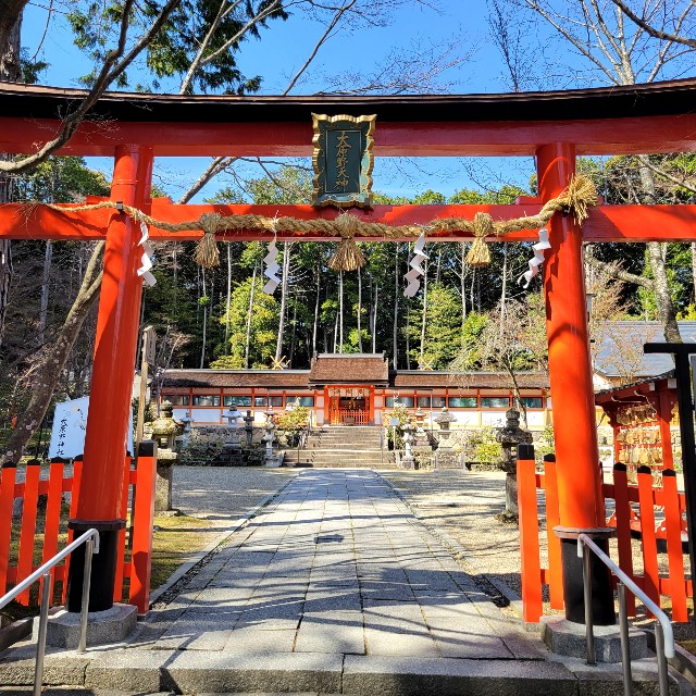 f:id:atoriatoriatori:20220411220425j:image