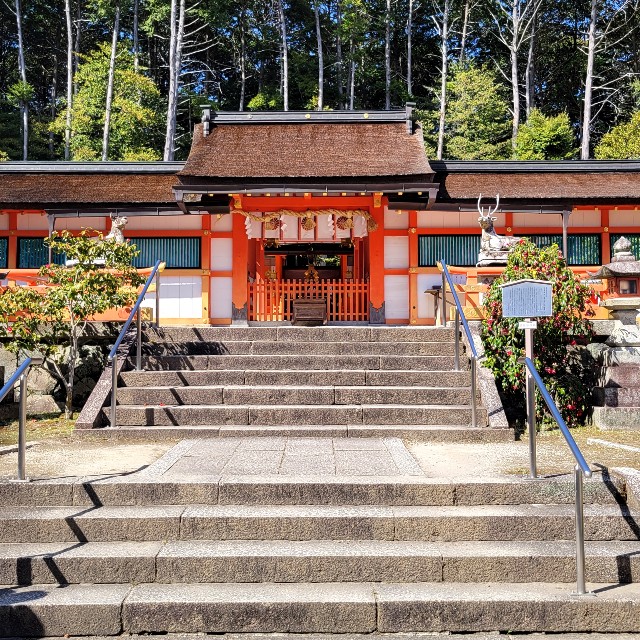 f:id:atoriatoriatori:20220412083603j:image