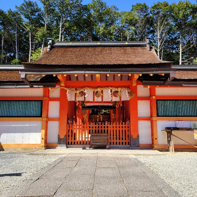 f:id:atoriatoriatori:20220412083619j:image