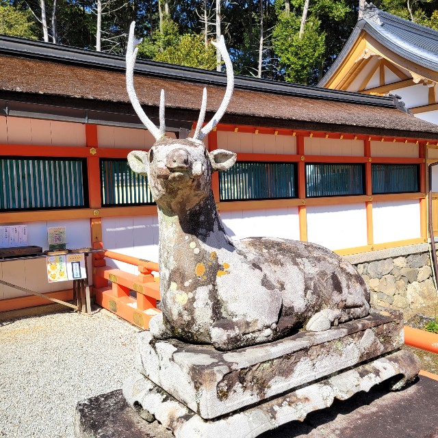 f:id:atoriatoriatori:20220412083655j:image