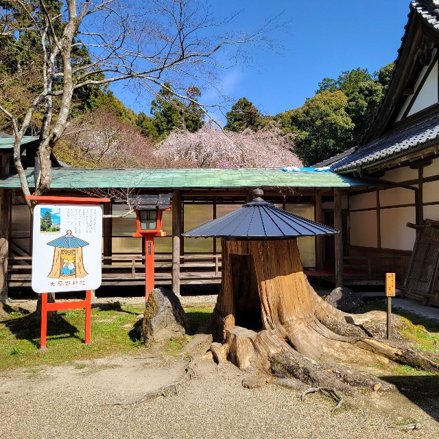 f:id:atoriatoriatori:20220412092543j:image