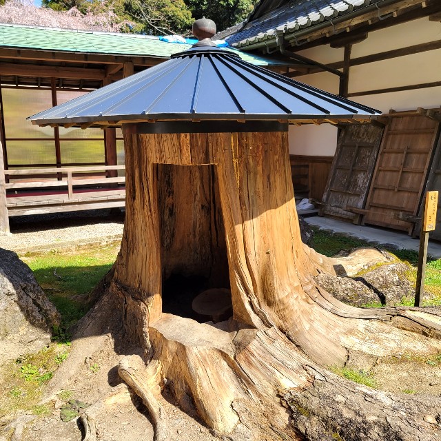 f:id:atoriatoriatori:20220412092550j:image