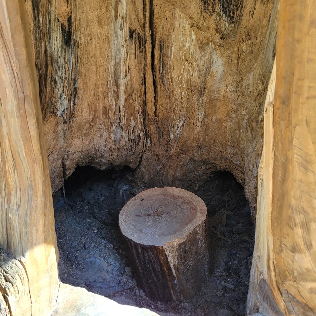 f:id:atoriatoriatori:20220412092556j:image