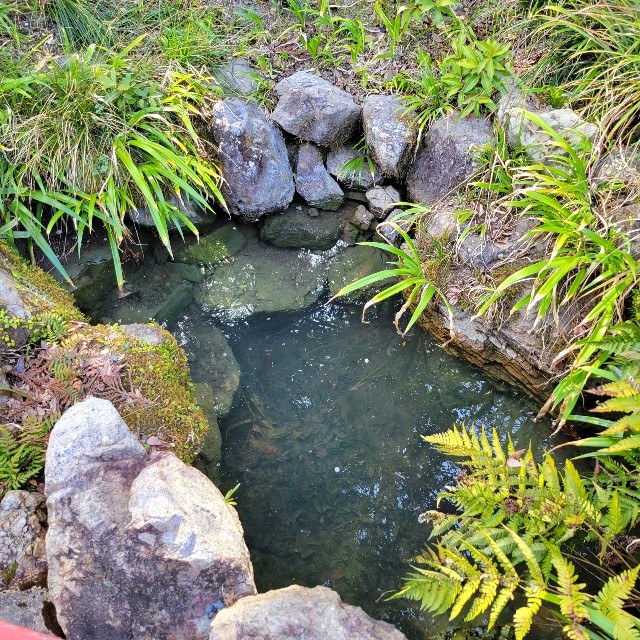 f:id:atoriatoriatori:20220412101703j:image