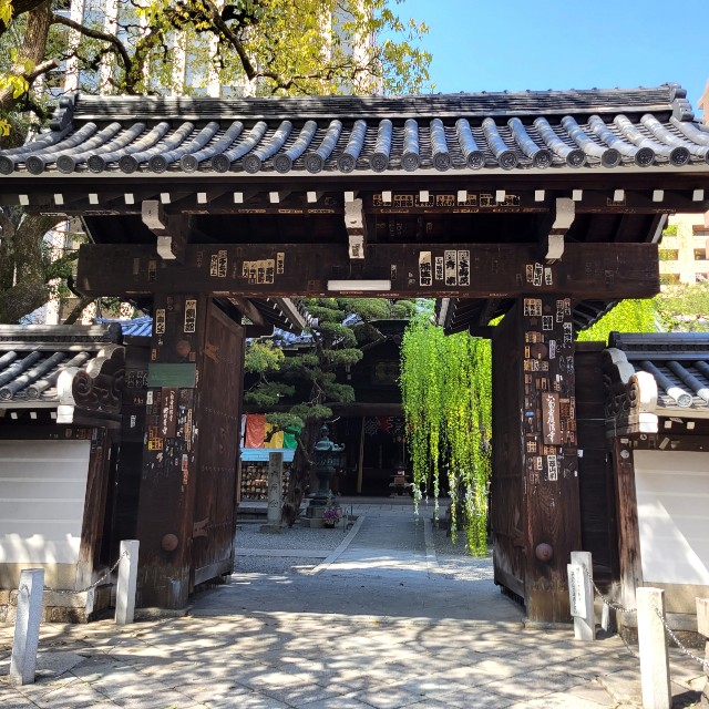 f:id:atoriatoriatori:20220415090134j:image