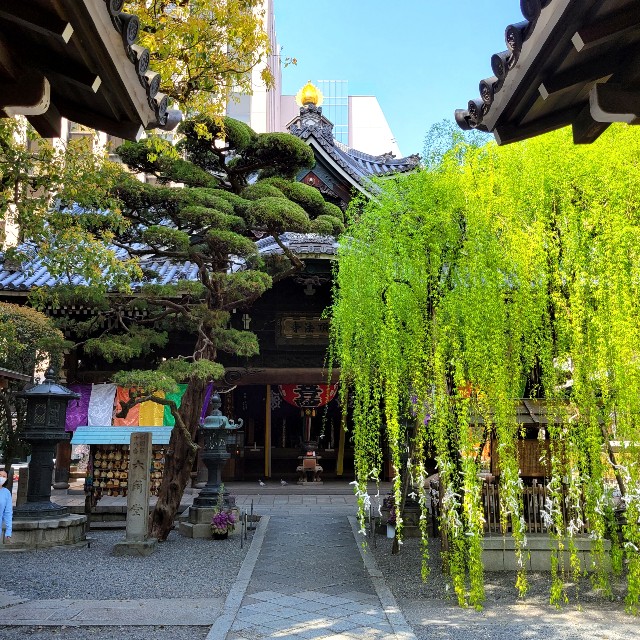 f:id:atoriatoriatori:20220415090147j:image