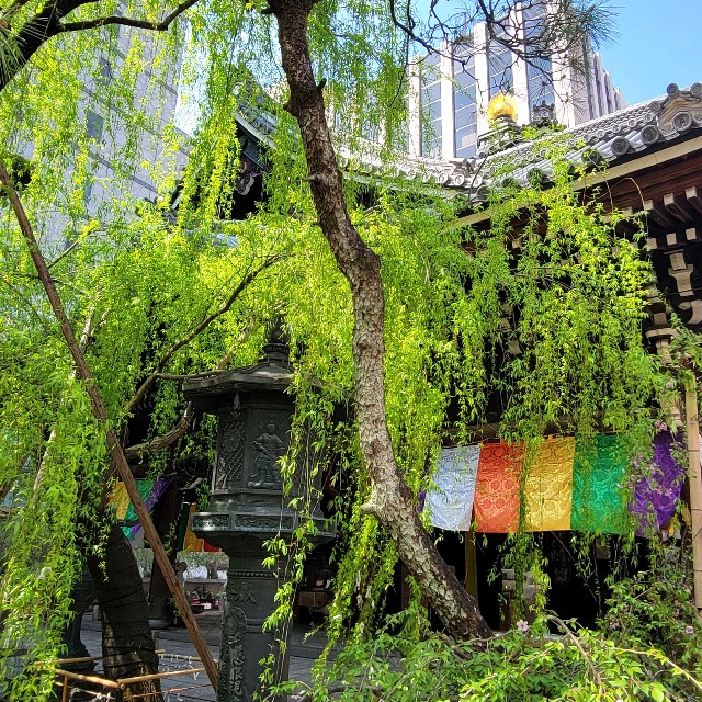 f:id:atoriatoriatori:20220415090158j:image