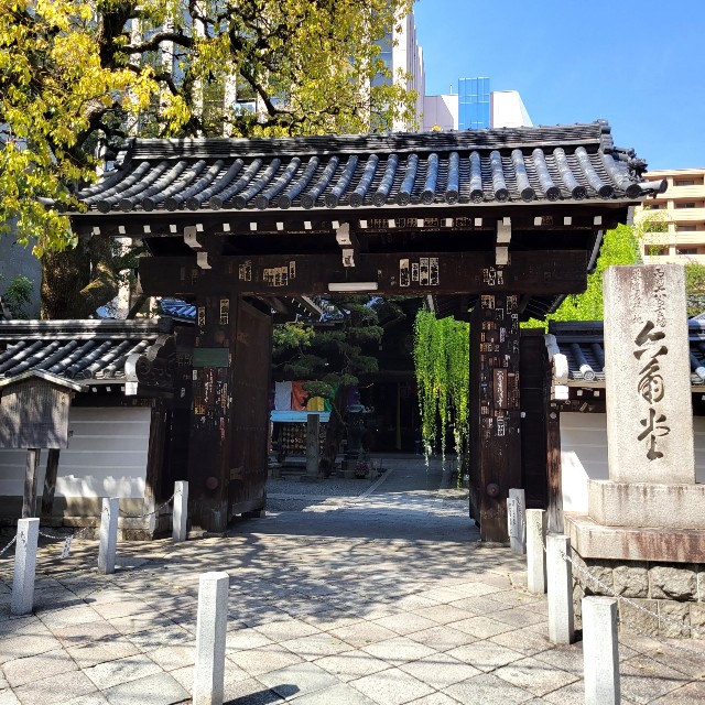 f:id:atoriatoriatori:20220415090612j:image