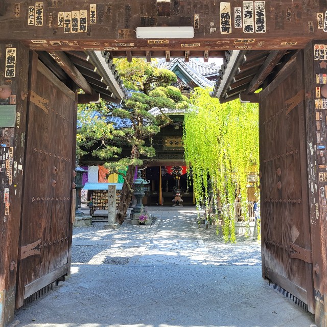 f:id:atoriatoriatori:20220415090627j:image