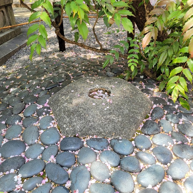 f:id:atoriatoriatori:20220415095743j:image