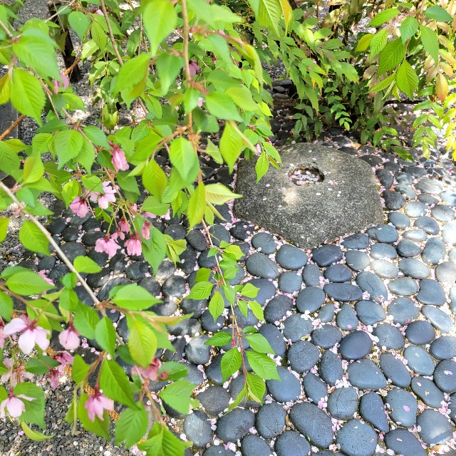 f:id:atoriatoriatori:20220415095749j:image