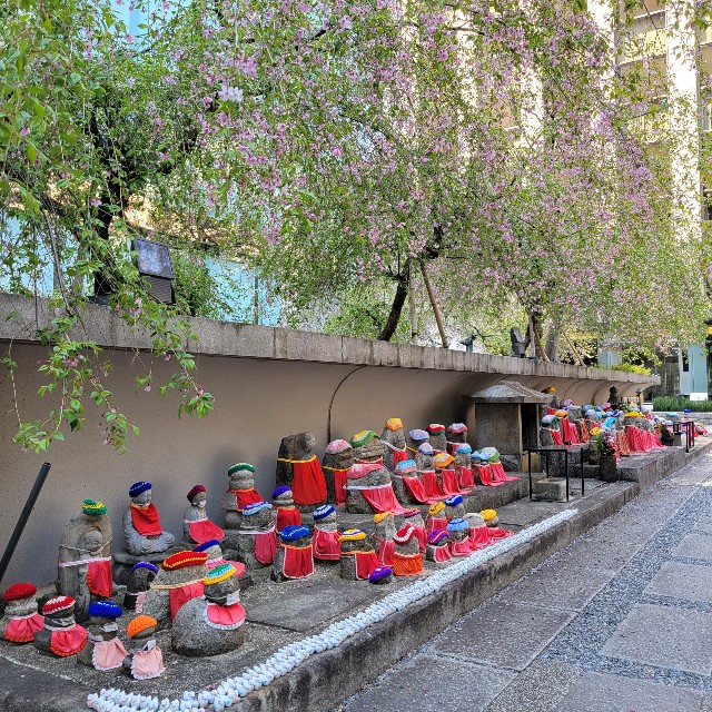 f:id:atoriatoriatori:20220415100903j:image