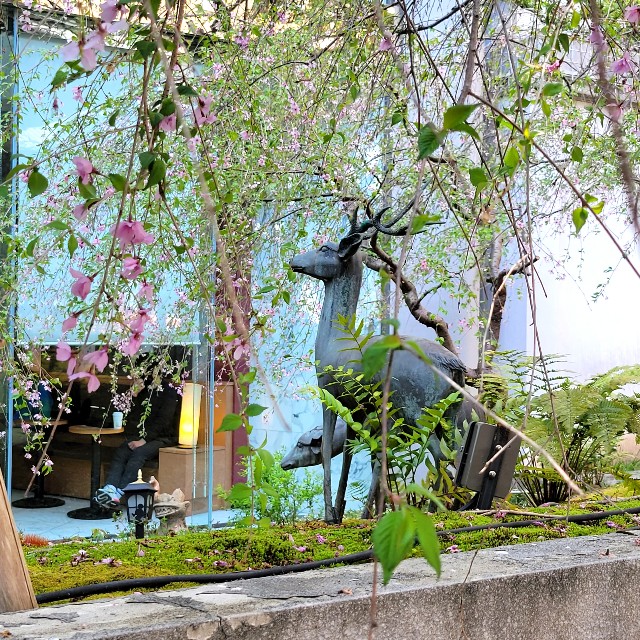 f:id:atoriatoriatori:20220415100930j:image