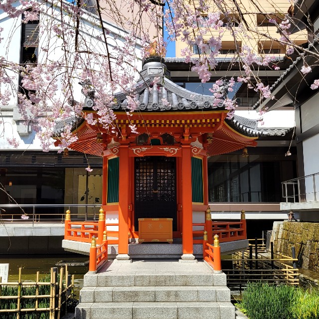 f:id:atoriatoriatori:20220415113942j:image