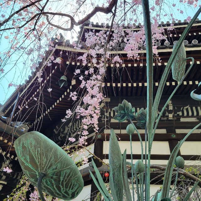 f:id:atoriatoriatori:20220415114405j:image