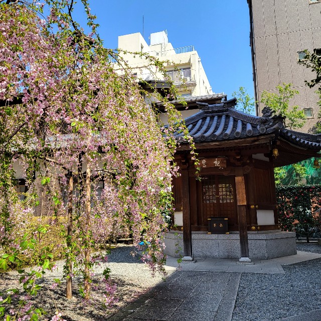 f:id:atoriatoriatori:20220415114413j:image