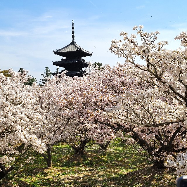 f:id:atoriatoriatori:20220415181342j:image f:id:atoriatoriatori:20220415181342j:image