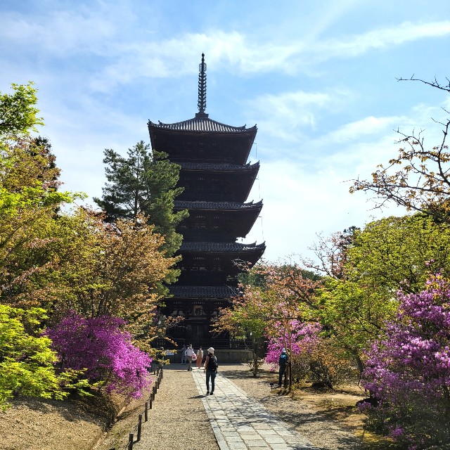 f:id:atoriatoriatori:20220415222438j:image f:id:atoriatoriatori:20220415222438j:image