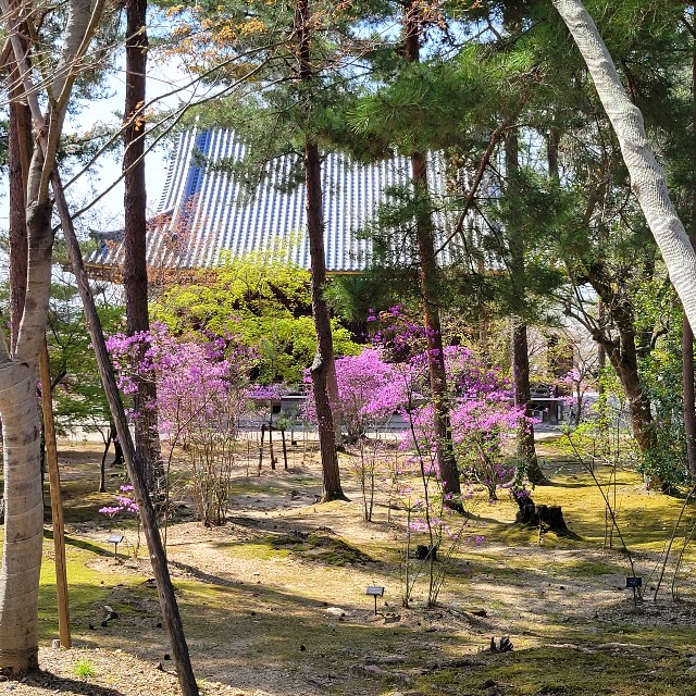 f:id:atoriatoriatori:20220415222445j:image f:id:atoriatoriatori:20220415222445j:image