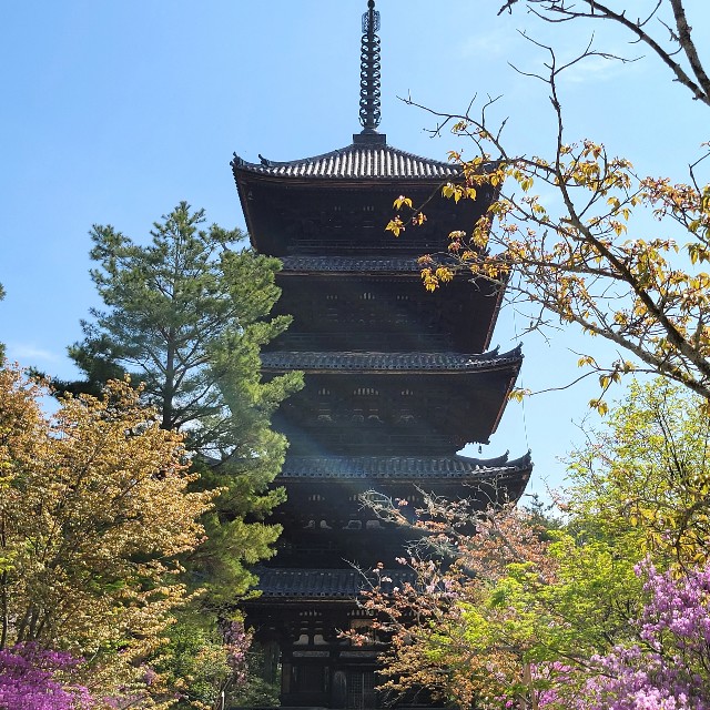 f:id:atoriatoriatori:20220416205134j:image f:id:atoriatoriatori:20220416205134j:image