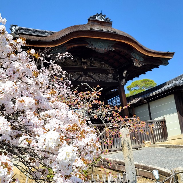 f:id:atoriatoriatori:20220416205148j:image f:id:atoriatoriatori:20220416205148j:image