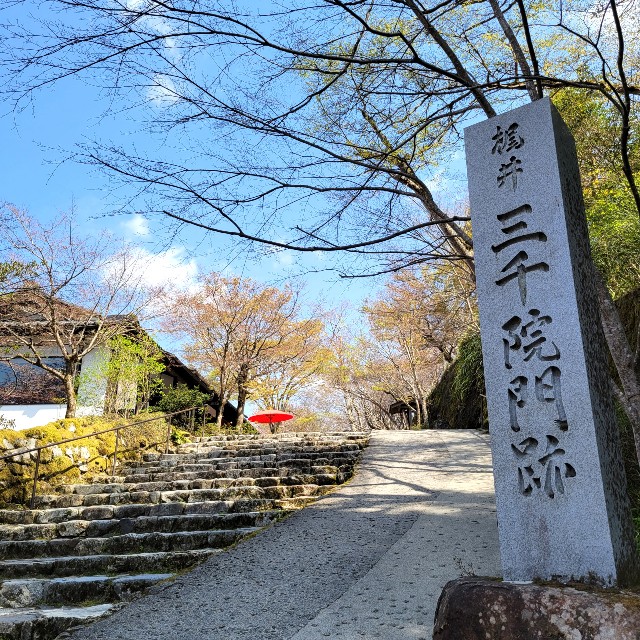 f:id:atoriatoriatori:20220421182053j:image