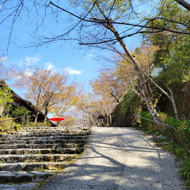 f:id:atoriatoriatori:20220421182100j:image