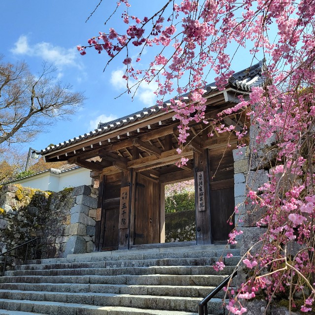 f:id:atoriatoriatori:20220422204432j:image