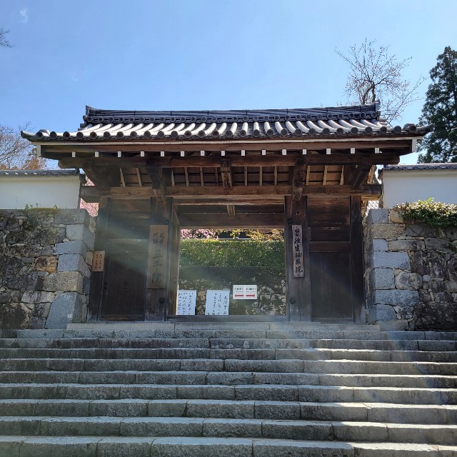 f:id:atoriatoriatori:20220422204441j:image