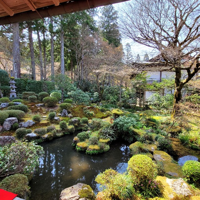 f:id:atoriatoriatori:20220423094808j:image