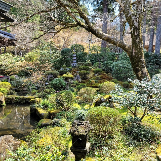 f:id:atoriatoriatori:20220423094822j:image