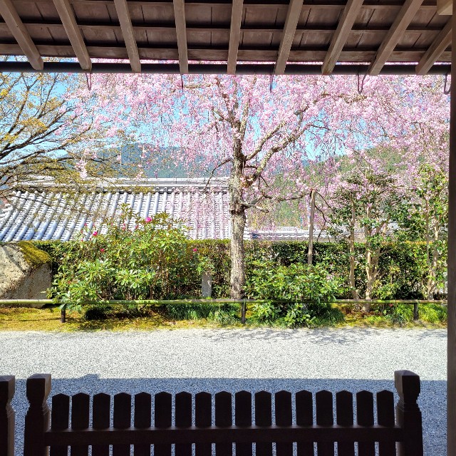 f:id:atoriatoriatori:20220423094831j:image